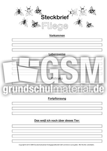 Fliege-Steckbriefvorlage-sw.pdf